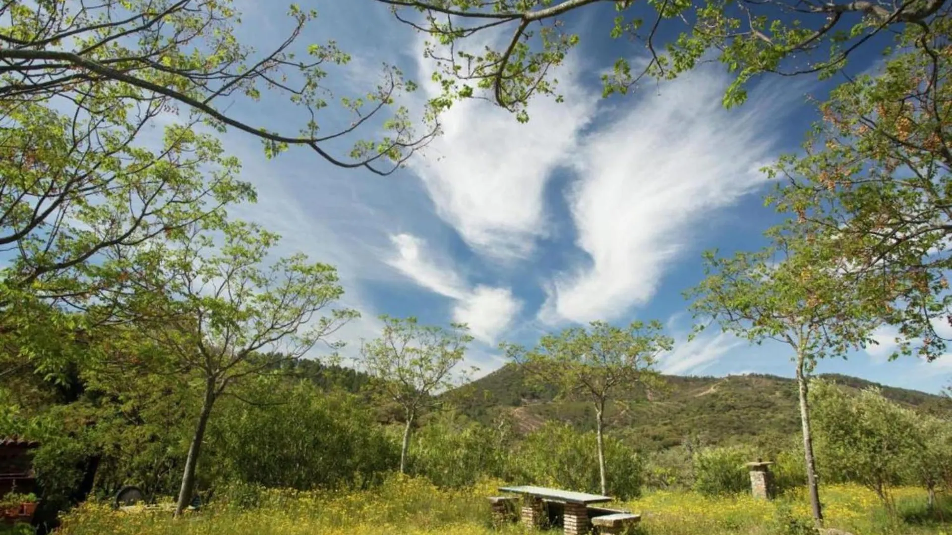 Holiday Home The Turtle Алахар